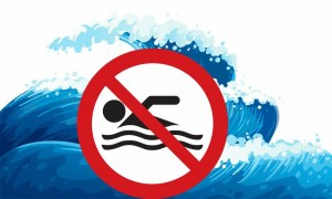 Урок безопасности «У воды без воды»