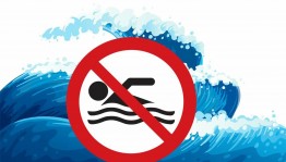 Урок безопасности «У воды без воды»