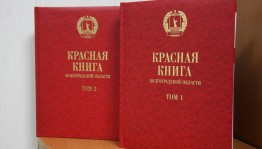 Познавательный час «По страницам Красной книги»