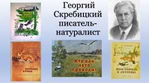 Онлайн-квест «Путешествие по сказкам и рассказам Г. Скребицкого»