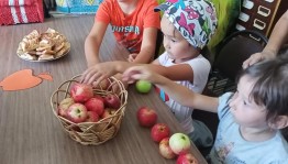 Познавательная программа «Яблочный спас не пройдет без вас»