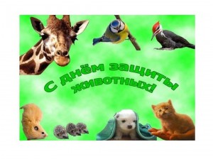 Урок доброты«Не опоздай на помощь другу »