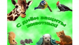 Урок доброты«Не опоздай на помощь другу »