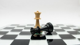«Шах и Мат» играем в шахматы и шашки