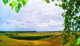 Одна ночь, тысячи впечатлений