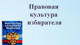 Час правовой информации«Избиратель: права и обязанности»