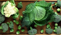 Встреча «А у нас капустник»