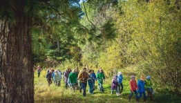 Мероприятие для детей «Экскурсия по лесу»