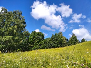 Литературный час«Люблю тебя природа в любое время года»