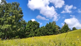Литературный час«Люблю тебя природа в любое время года»