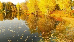 Веселые осенние игры