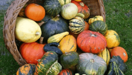 «День тыквы»