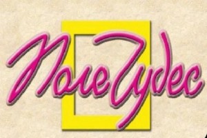 Интеллектуальная игра «Поле чудес – Книга. Библиотека. Писатели.»