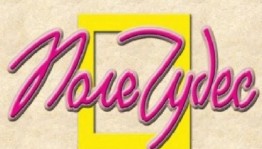 Интеллектуальная игра «Поле чудес – Книга. Библиотека. Писатели.»