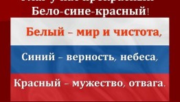 «Белый,синий,красный»беседа, игровая программа