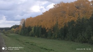 Конкурс фотографии«Я »люблю осень»