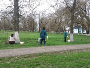 Акция «Чистое село»