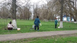 Акция «Чистое село»