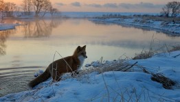 Виртуальное путешествие «Островок первозданной природы»
