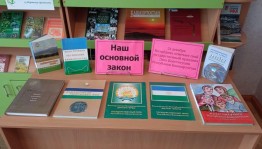 Информационно - познавательный час «День Конституции Республики Башкортостан»