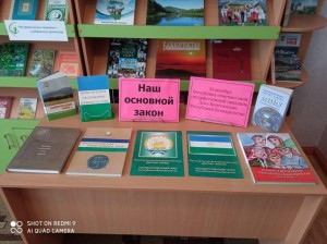 Информационно - познавательный час «День Конституции Республики Башкортостан»