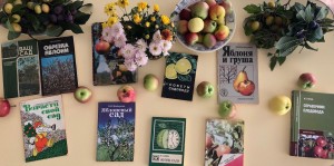 Мастерская радости «Натюрморт с яблоками»