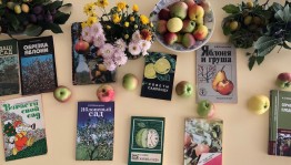 Мастерская радости «Натюрморт с яблоками»