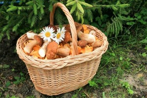 Игровая программа «Башкирская грибная корзина»