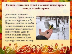 Час детства«Синичкин день»