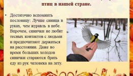 Час детства«Синичкин день»