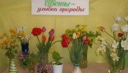 Выставка цветов «Цветы – улыбка природы»