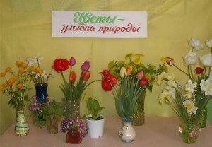 Выставка цветов «Цветы – улыбка природы»