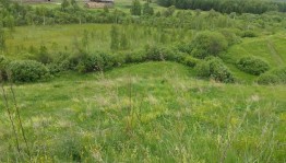 Информационный час «Болото деревни Упканкуль»