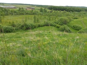 Информационный час «Болото деревни Упканкуль»