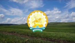 Уличная акция «Что может депутат?»