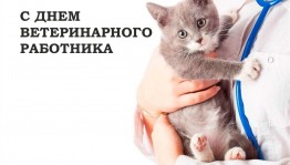 День ветеринарного работника