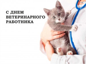 День ветеринарного работника