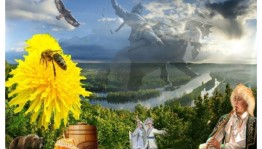 «Цвети мой край Башкортостан»