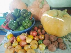 Конкурс «Осенние дары или мое богатство»