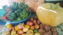 Конкурс «Осенние дары или мое богатство»