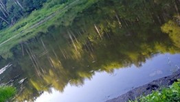 «Природы мудрые советы »