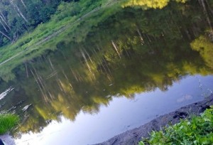 «Природы мудрые советы »