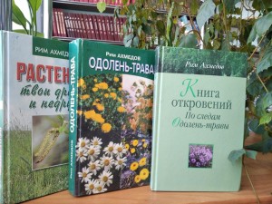 Экологическая викторина «Полевые цветочки Республики Башкортостан»