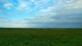 «Будь другом природе»