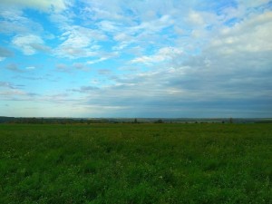 «Будь другом природе»