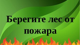 Беседа «Берегите лес от огня»