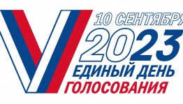 Выборы 2023.Информационный стенд.