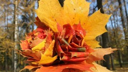 Мастер класс по изготовлению букетов. «Листопад»