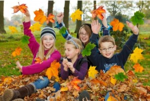 Игра «Разноцветная осень »