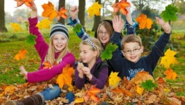 Игра «Разноцветная осень »